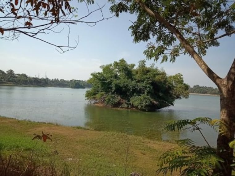 Manipal Lake-1